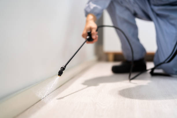 Bed Bug Pre-Treatment Preparation Assessment in Lamar